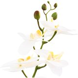  Umjetna orhideja s saksijom Bijela 45 x 15 x 65 cm | shoptok.hr