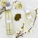 Vera Wang Green Tea & Pear Blossom parfumirani sprej za tijelo za žene 240 ml | shoptok.hr