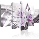 Slika - Crystal Finesse 100x50 | shoptok.hr