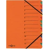 Organizator mapa EASY, DIN A4, karton, 12 predelkov, (21652613)