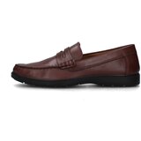 IgI&CO Mokasini 7612011 Kostanjeva Cene