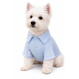 Paws &amp; Whiskers Majica za pse sa natpisom svijetloplava Cijene