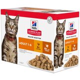  Ekonomično pakiranje: Hill's Feline vrećice 24 x 85 g - Adult Izbor peradi Cijene