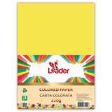 Leader Hamer A4 100l, Žuti Cene