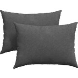 vidaXL Blazine za kavč 2 pcs Temno siva 70 x 50 cm Žametna tkanina | Shoptok.si