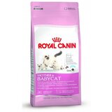Royal Canin Mother & Babycat - 400 g Cene