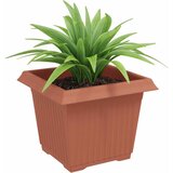  Kvadratna saksija za cvijeće 6 pcs Crvena cigla Plastika | shoptok.hr