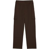 Desigual PANT_SAGUN 25WWPW08 Smeđa Cijene