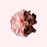 Givenchy Irresistible sapun za žene 100 g | shoptok.hr