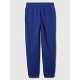 GAP Kids Sweatpants with Logo - Boys | Shoptok.si
