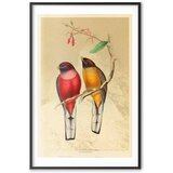  Plakat - Birds on a Branch 60x90 Crni okvir s margom | shoptok.hr