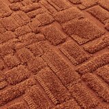 Asiatic Carpets Preproga v barvi terakote 200x290 cm – | Shoptok.si