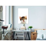  Slika - Vexed Cat (1 Part) Vertical 60x90 | shoptok.hr