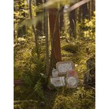 Sinsay Okvir za fotografije | shoptok.hr