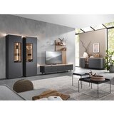 Dieter Knoll VITRINA, hrast antracit, barve hrasta | Shoptok.si
