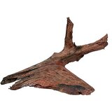 Zolux 356030 Koren Mangrov M 25/40cm Cene