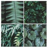 Slika - Botanical Depth (4 Parts) 40x40 | shoptok.hr