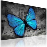  Slika - The study of butterfly 90x60 | shoptok.hr