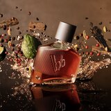 Bruno Banani Magnetic Man 50 ml toaletna voda za moške | shoptok.hr