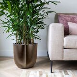 Capi Korito Groove 35x34 črna in zlata | Shoptok.si
