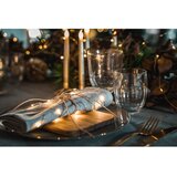 Sirius Svetlobna veriga število žarnic 40 ks dolžina 390 cm Knirke – | Shoptok.si