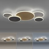 PAUL NEUHAUS 8008-70-LED Prigušiva svetiljka Q-PIATO LED/49W/230V 2700-5000K + daljinski upravljač | Eponuda.com