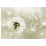  Tapeta - Pilgrimage of Wind 100x70 | shoptok.hr