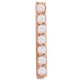 Daniel Wellington dw00400860 micro crystal line earring Cene