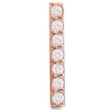 dw00400860 micro crystal line earring