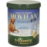 Movilan Dog