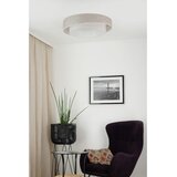  Brilagi - LED plafonsko svetlo DOVER SHINE LED/26W/230V Ø 60 cm siva/krem | Eponuda.com