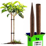 KADAX Impregniran lesen kol za podporo dreves 100 cm premera 23 mm, (5000362558) | Shoptok.si