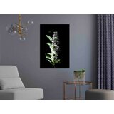  Slika - White Lilacs (1 Part) Vertical 40x60 | shoptok.hr