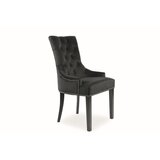 Molarem Home Stolica Edward-crna Cijene