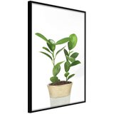  Poster - Piece of Nature II 30x45 | shoptok.hr