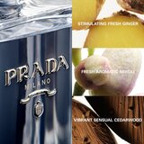 Prada L´Homme L´Eau toaletna voda 100 ml za muškarce | shoptok.hr