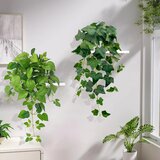SHEPIN 2x umetna viseča rastlina - 68 cm | Shoptok.si