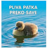 Egmont pliva patka preko Save | shoptok.hr