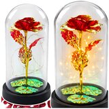 Eternal Crystal Rose in Dome with LED Lighting Red 21x11cm | Shoptok.si