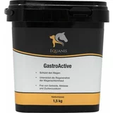  GastroActive