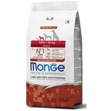 Monge dog Jagnjetina/Riž in Krompir Adult Mini 2,5 kg Cene