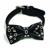 D.Ogrlica za mace Vanity masna sa nitnama 1.5x35 cm | ePonuda.com