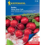  Redkvica "Wiener Rotes Treib" - 1 pkt. | Shoptok.si