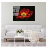 WALLXPERT dekorativna slika od kaljenog stakla cvetan cvet crvenog maka (uv 204) 70 x 100cm | ePonuda.com