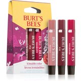 Burt’s Bees Festive Kissable Color set sjajila za usne Cijene
