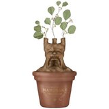Blue Bay Namizna vaza v obliki - Harry Potter (mandragor) - Namizna vaza Harry Potter - Darila Harry Potter - Blago Harry Potter - Keramična vaza - Prikupna da, (20872910) | Shoptok.si