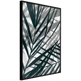  Poster - Cover from the Sun 30x45 Cijene
