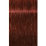 Schwarzkopf igora Royal Absolutes - 6-80 temno blond rdeča natur, 60 ml | Shoptok.si