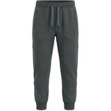 Lucky Kiddo hlače trenirka DH LK-KBJP 1_26 CUT-6 032355 M siva 146 | shoptok.hr
