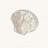 Spirella Tuš zavjesa 180x180 cm Atlantis – | shoptok.hr